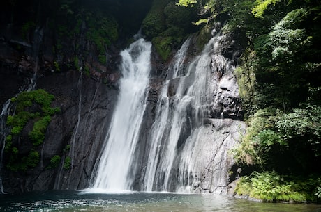 24小时日本在线视频 北京时间11月17日11点