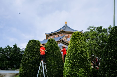 刘昊然家庭背景 在圈内的年轻艺人当中是蛮受欢迎的